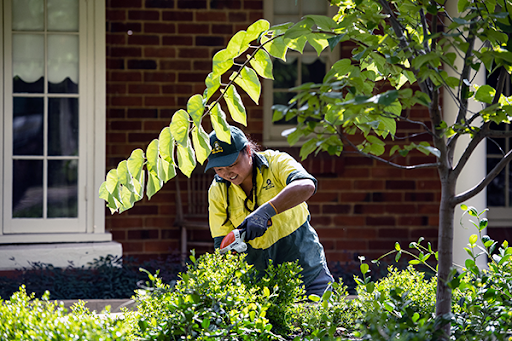 gardening services